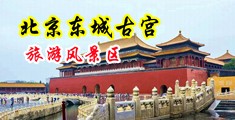 骚鸡NP超H中国北京-东城古宫旅游风景区